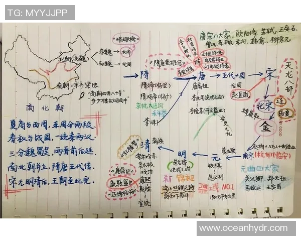 北京排球队的奋斗历程与冠军赛背后的成长故事