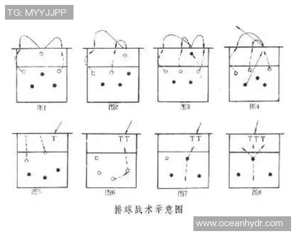 深圳排球队总决赛战术分析与表现评估全面解读