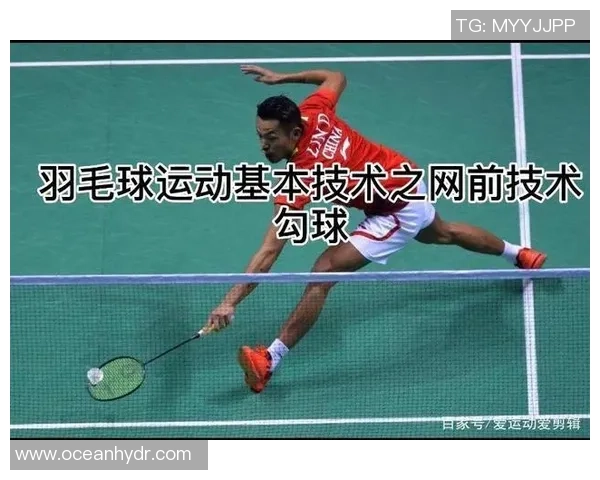 科学羽毛球训练方法探讨：提升运动状态与竞技水平的有效策略